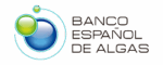 logo-bea